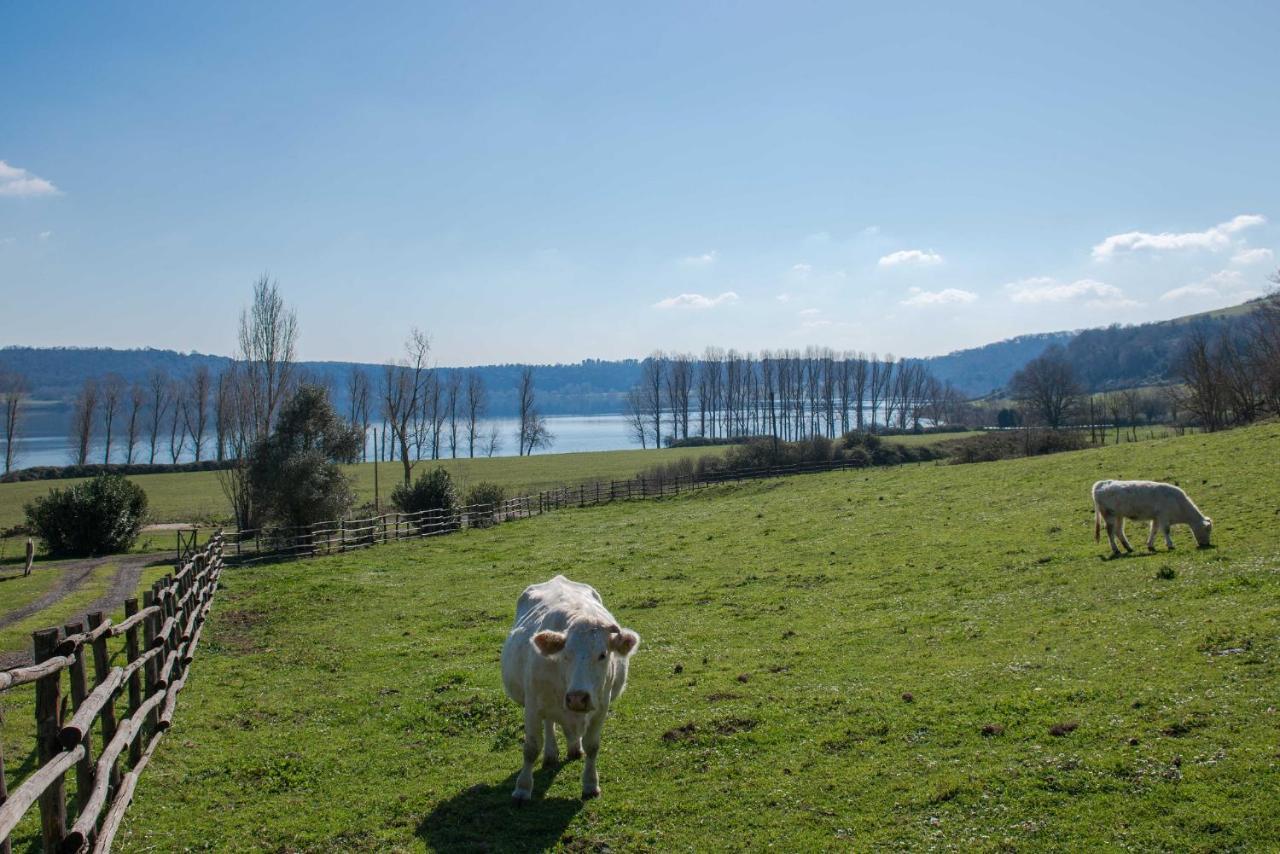 Il Castoro Di Martignano Villa Anguillara Sabazia Exterior photo