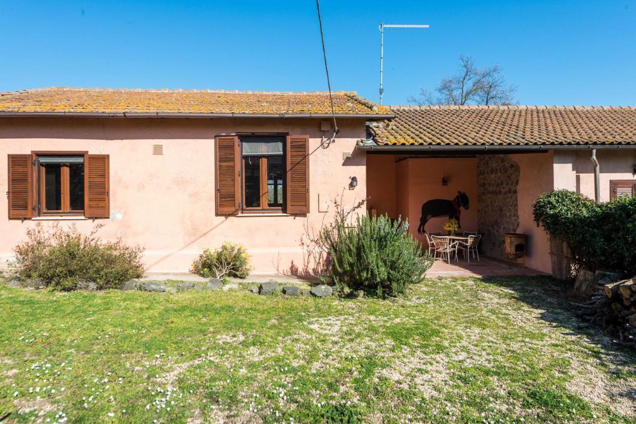 Il Castoro Di Martignano Villa Anguillara Sabazia Exterior photo